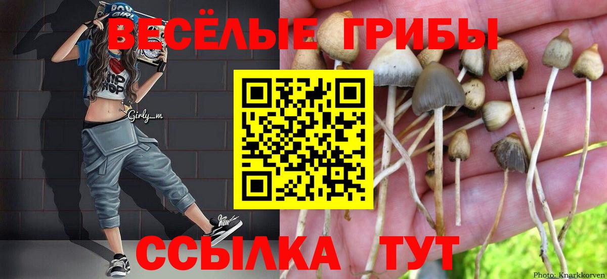 Кондопога  Псилоцибиновые грибы прущие грибы  Вход с VPN 