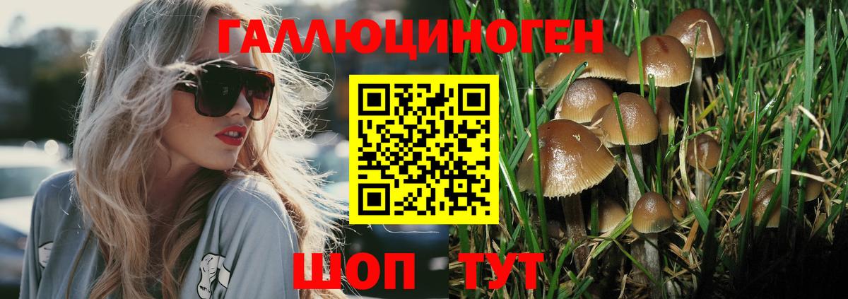 Псилоцибиновые грибы прущие грибы Кондопога